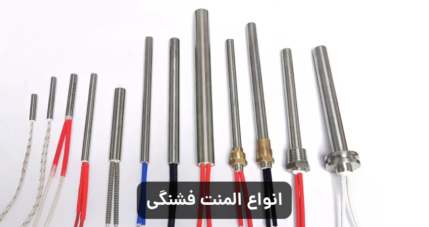 انواع المنت فشنگی