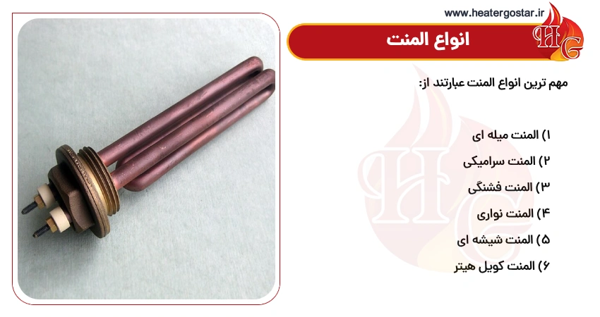 انواع المنت