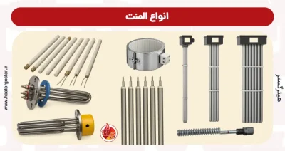 انواع المنت