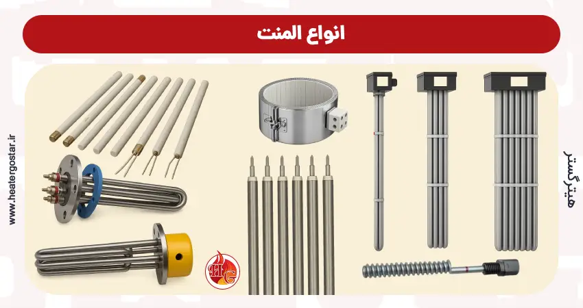 انواع المنت